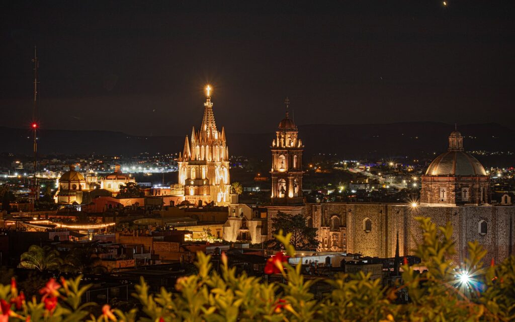 Night cityscape with illuminated cathedral spires and a domed church, warmly lit against the night sky, foreground flowers visible.
