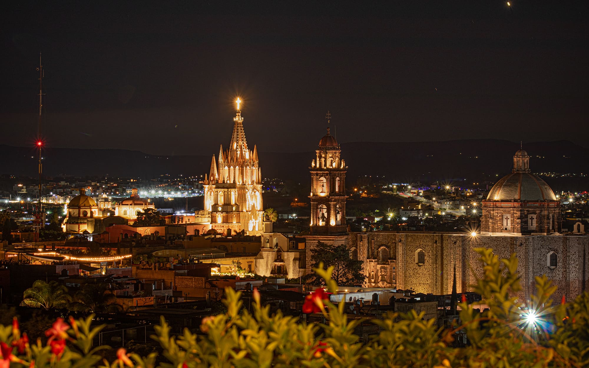 Night cityscape with illuminated cathedral spires and a domed church, warmly lit against the night sky, foreground flowers visible.