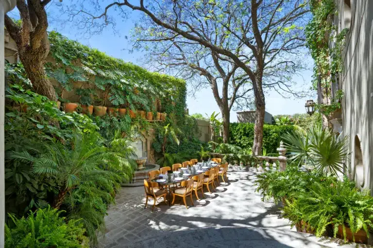 Outdoor courtyard dining setup with long table and orange chairs amid lush tropical plants and trees, San Miguel de Allende