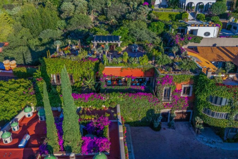Aerial view of a lush Mediterranean garden with purple bougainvillea, palm trees, and terracotta rooftops surrounding a courtyard, San Miguel de Allende