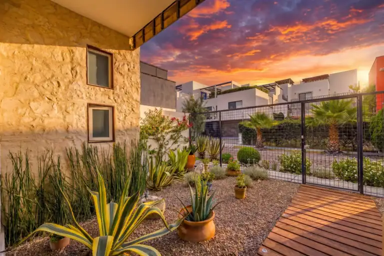 Sunset over a desert-style garden courtyard with agave plants, gravel ground, and white modern buildings beyond a black fence, San Miguel de Allende