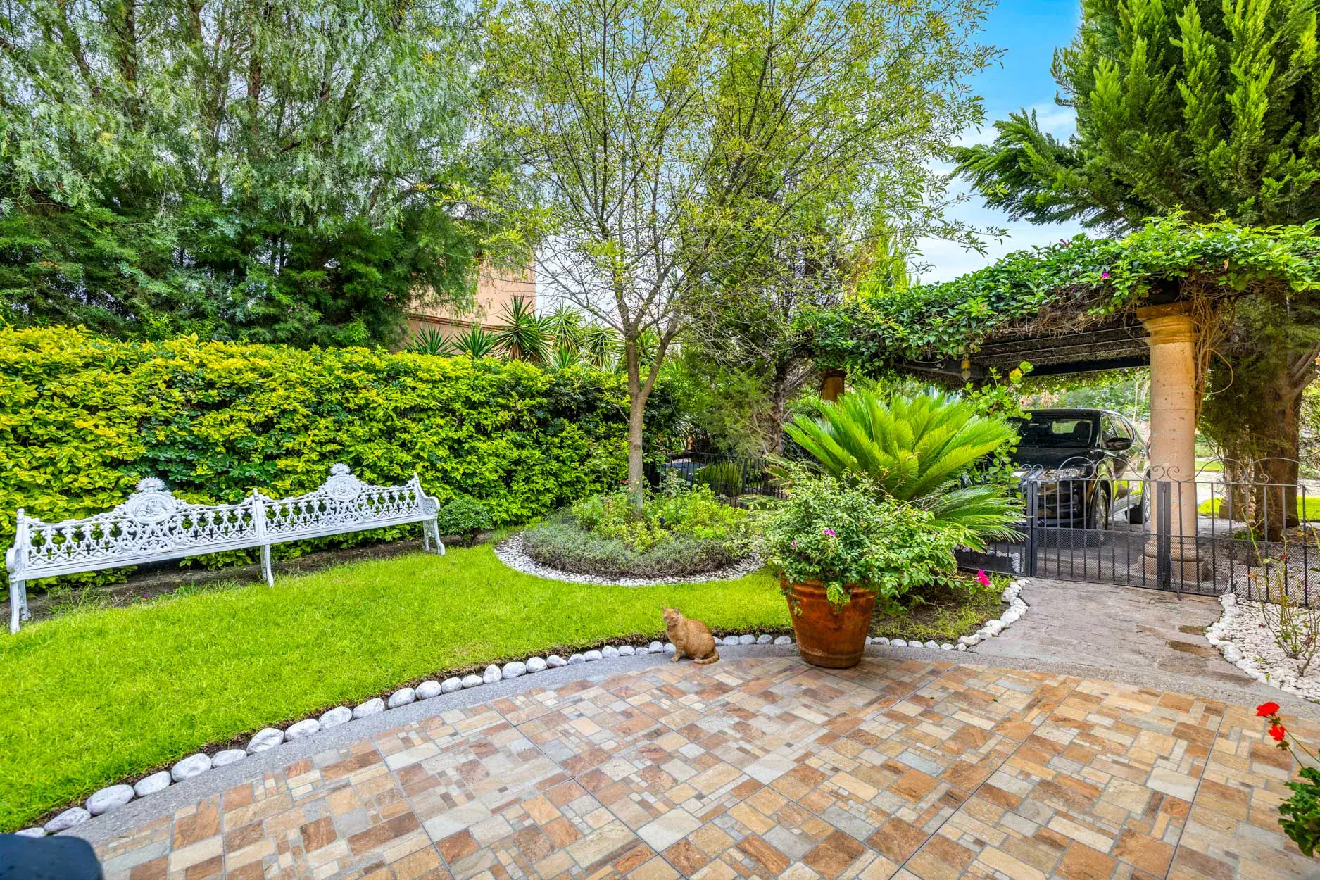 Sunlit garden with a white ornate bench, bright hedges, a potted plant, and a tiled patio; a cat sits nearby on the path, San Miguel de Allende