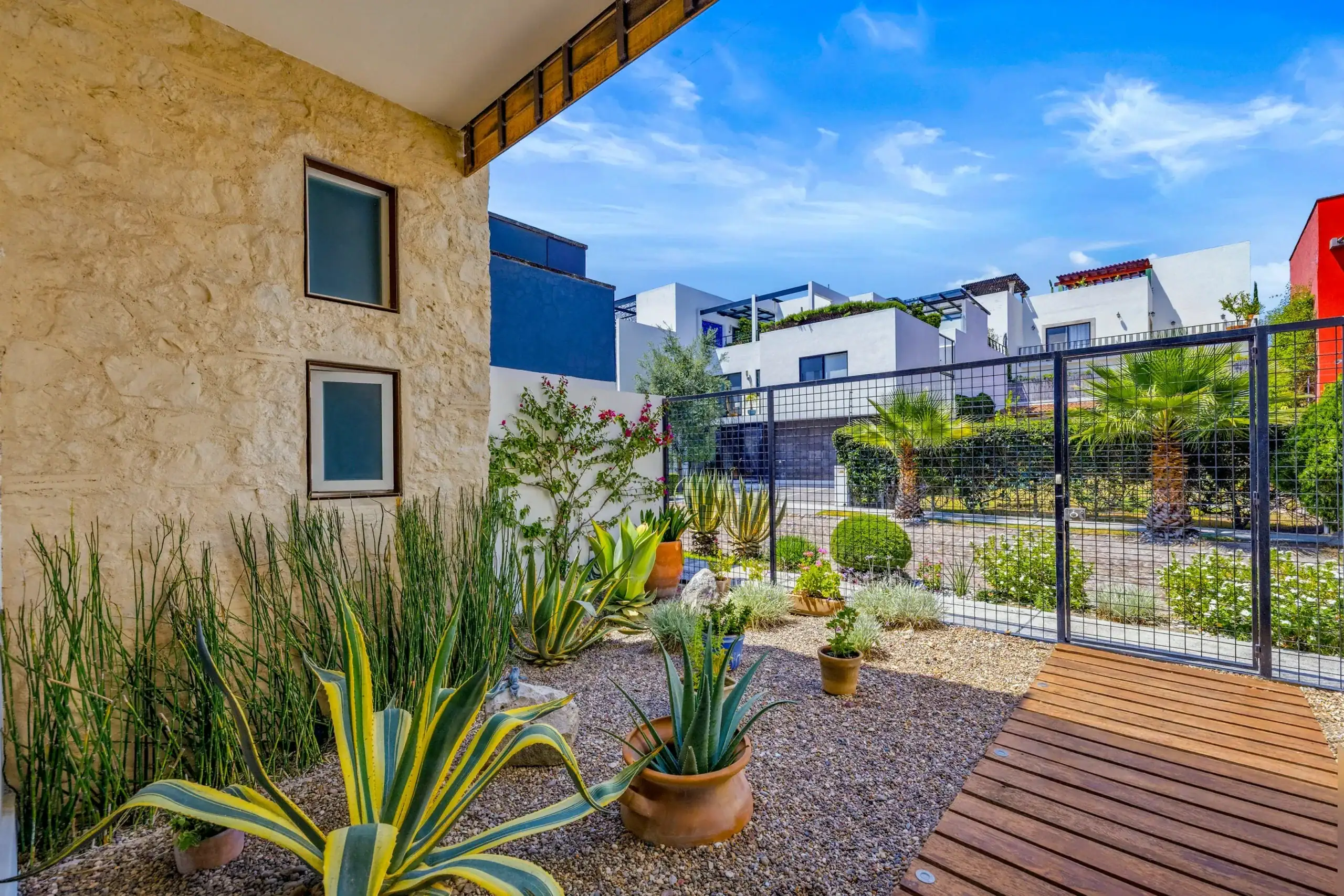 Sunny urban courtyard with potted agave plants, gravel ground, a wooden deck, beige stucco wall, and white modern buildings behind a black metal fence, San Miguel de Allende