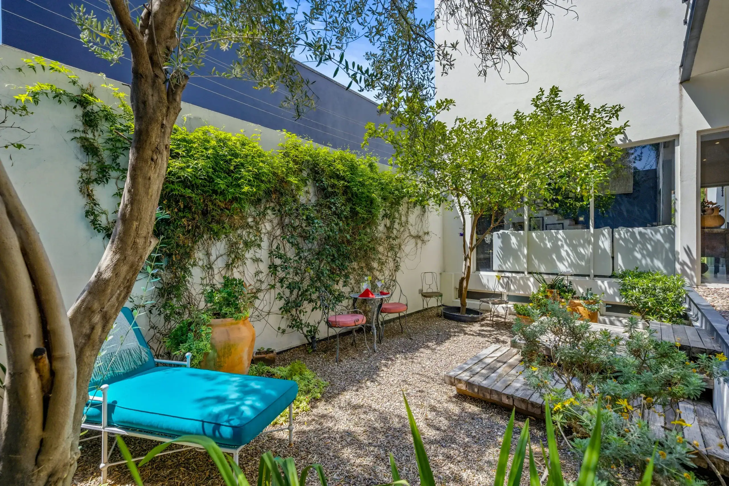 Outdoor courtyard with green trees, potted plants, and blue lounge chairs against white walls under a sunny sky, San Miguel de Allende