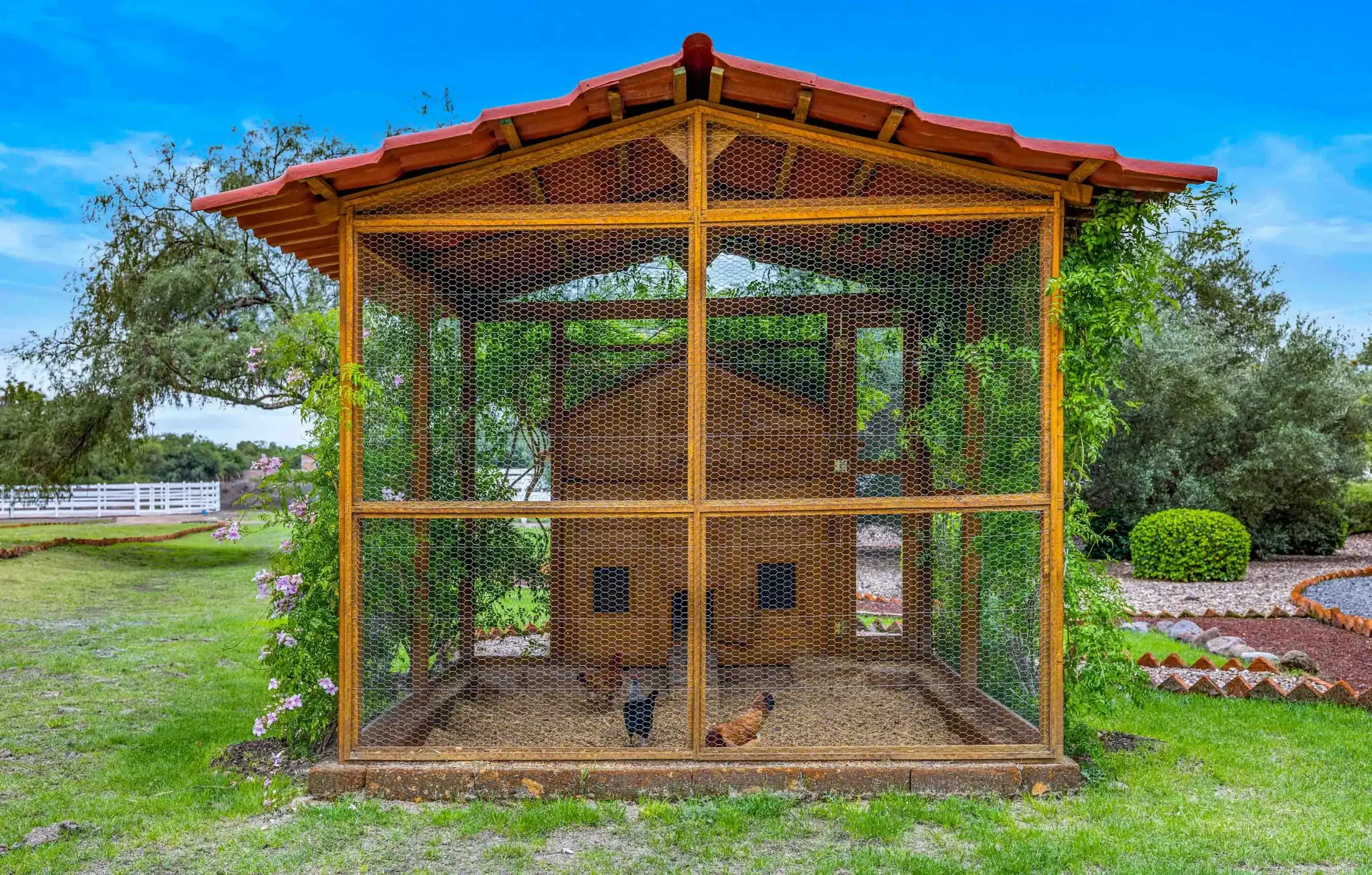 Wooden chicken coop with hexagonal wire mesh in a garden, a black chicken standing near the front door under a blue sky, San Miguel de Allende