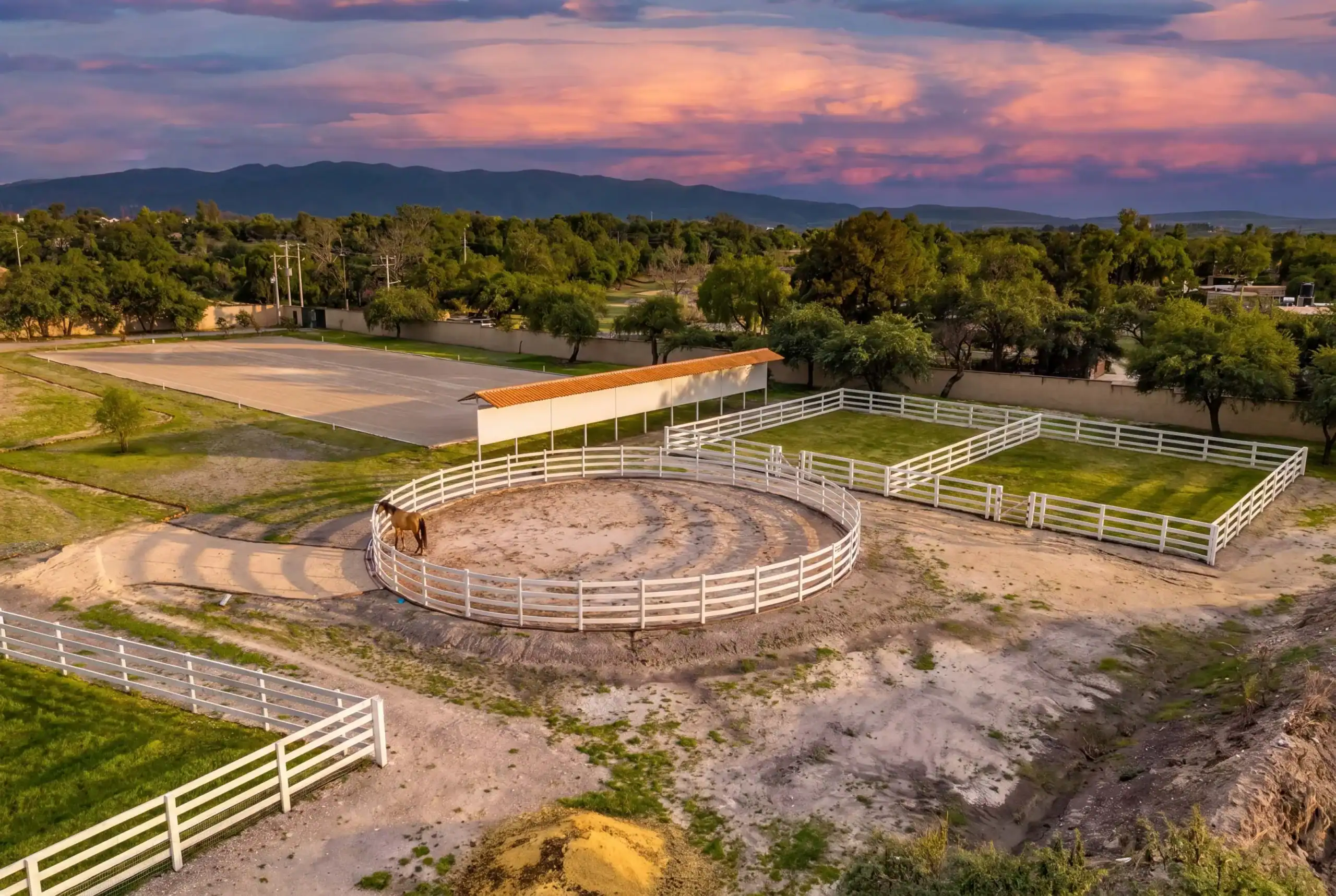 Brown horse standing in a circular riding pen surrounded by a white fence at sunset, with green trees beyond, San Miguel de Allende