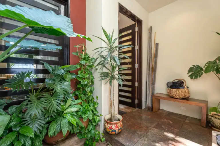 Indoor entryway with numerous tropical potted plants along a wall and a dark wooden door beside them, creating a lush welcome area, San Miguel de Allende