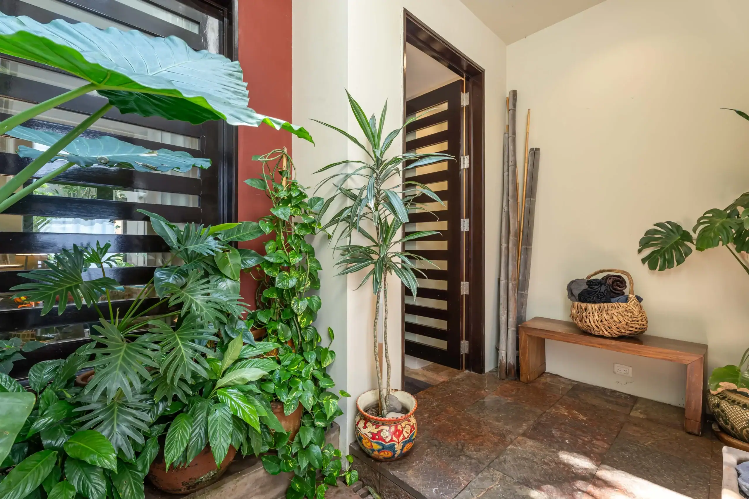 Indoor entryway with numerous tropical potted plants along a wall and a dark wooden door beside them, creating a lush welcome area, San Miguel de Allende