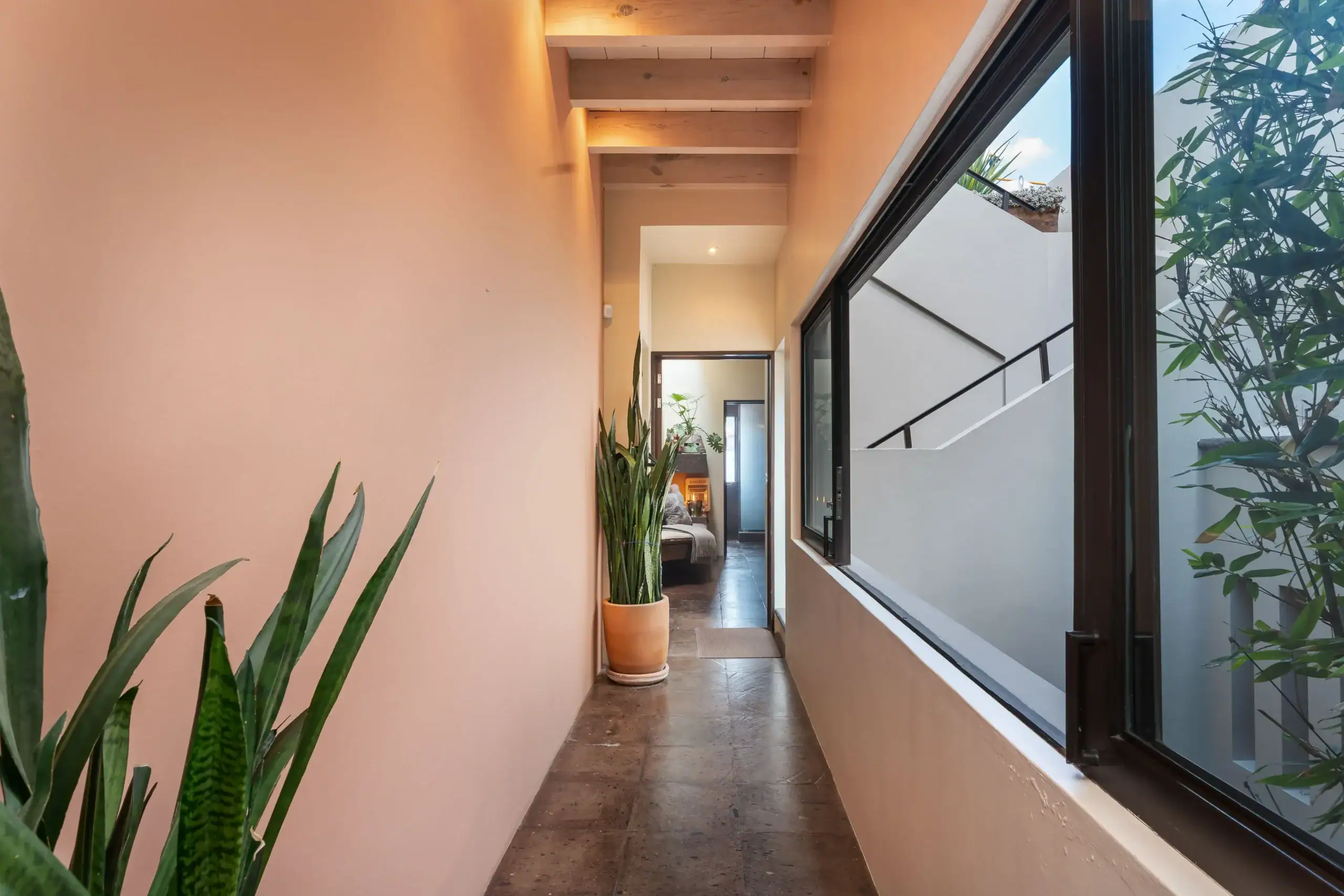 Narrow indoor hallway with peach walls, tall snake plants in pots, and large floor-to-ceiling windows on the right; a stairwell and living area are visible ahead, San Miguel de Allende