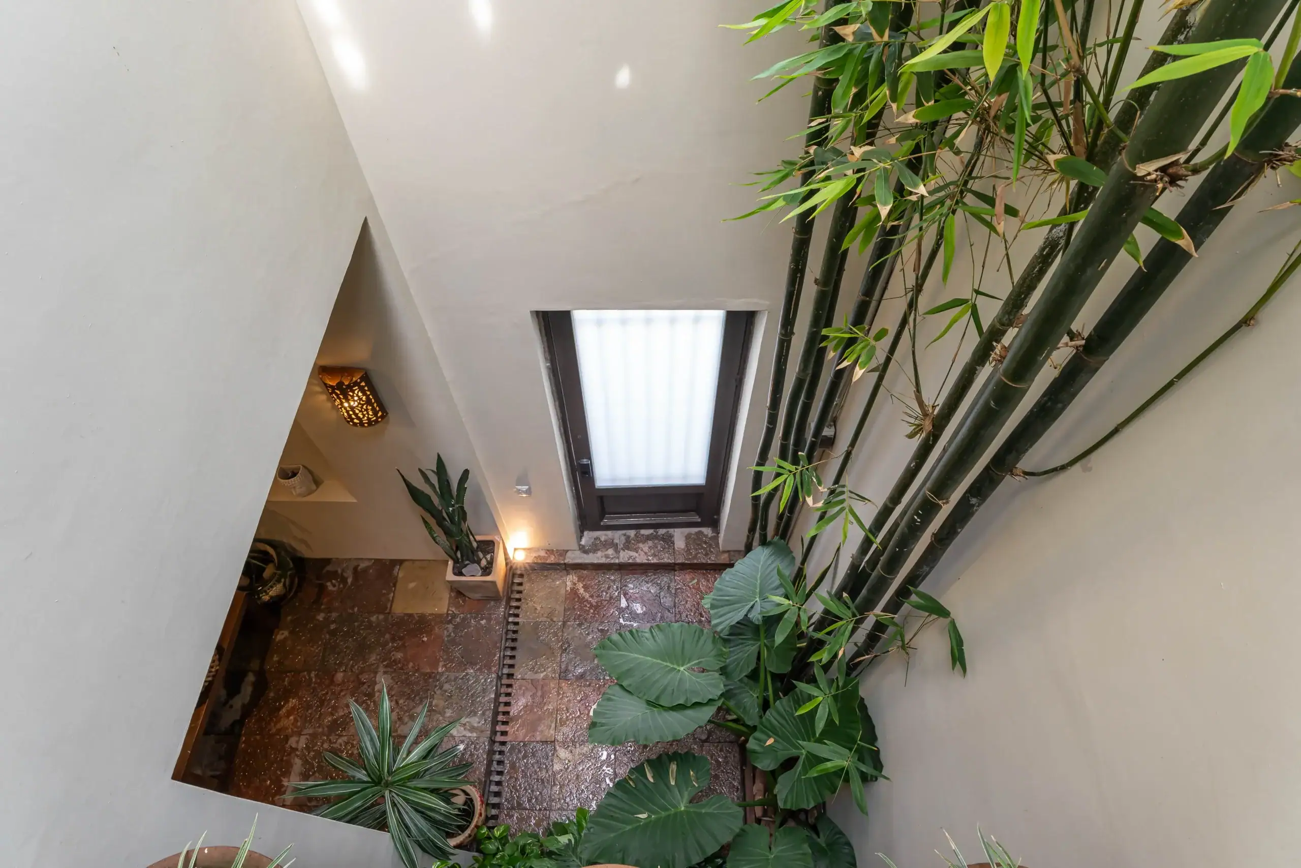 Indoor stairwell with beige walls and glossy tiled steps, flanked by tall bamboo plants along the right side and a small window at the landing, San Miguel de Allende