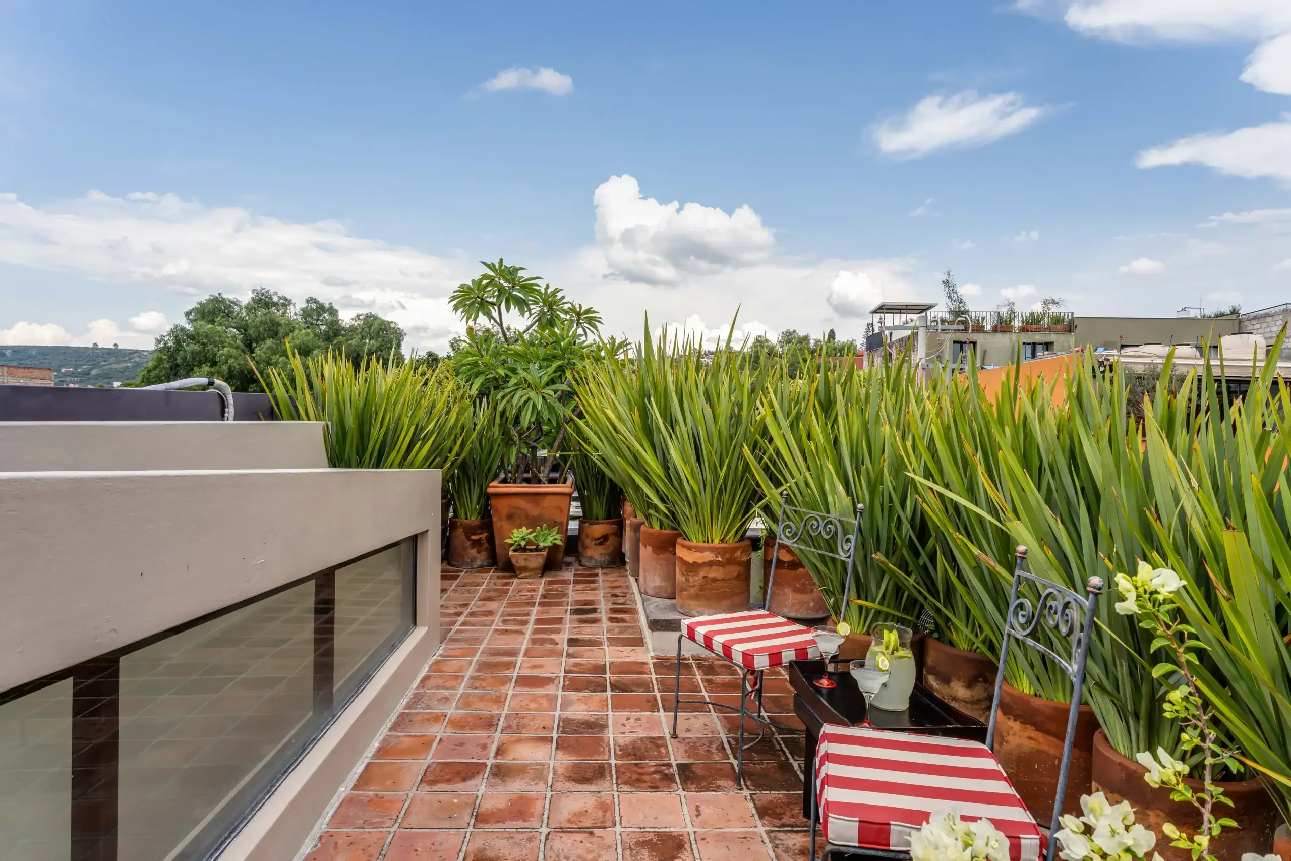 Rooftop terrace with multiple potted plants, red tile floor, and red-and-white striped chairs under a blue sky, San Miguel de Allende