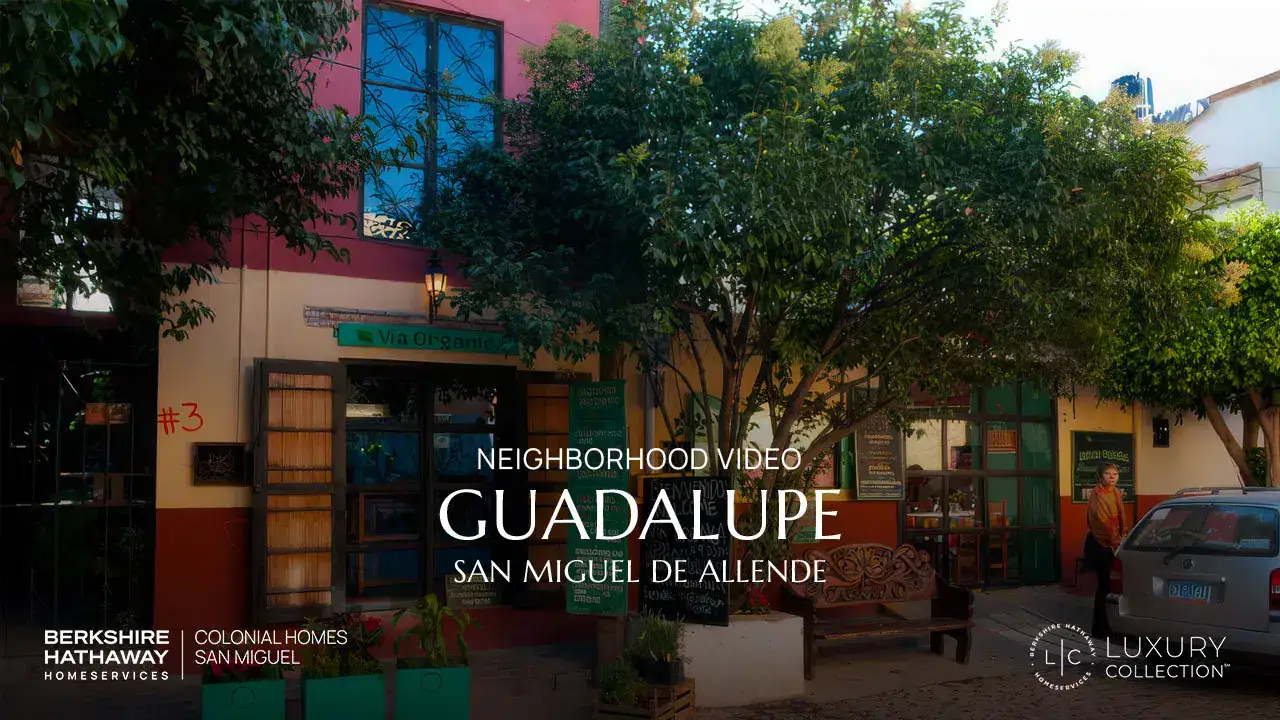 Neighborhood video cover for Guadalupe, San Miguel de Allende, showing a colorful street with shops, trees, and outdoor seating.