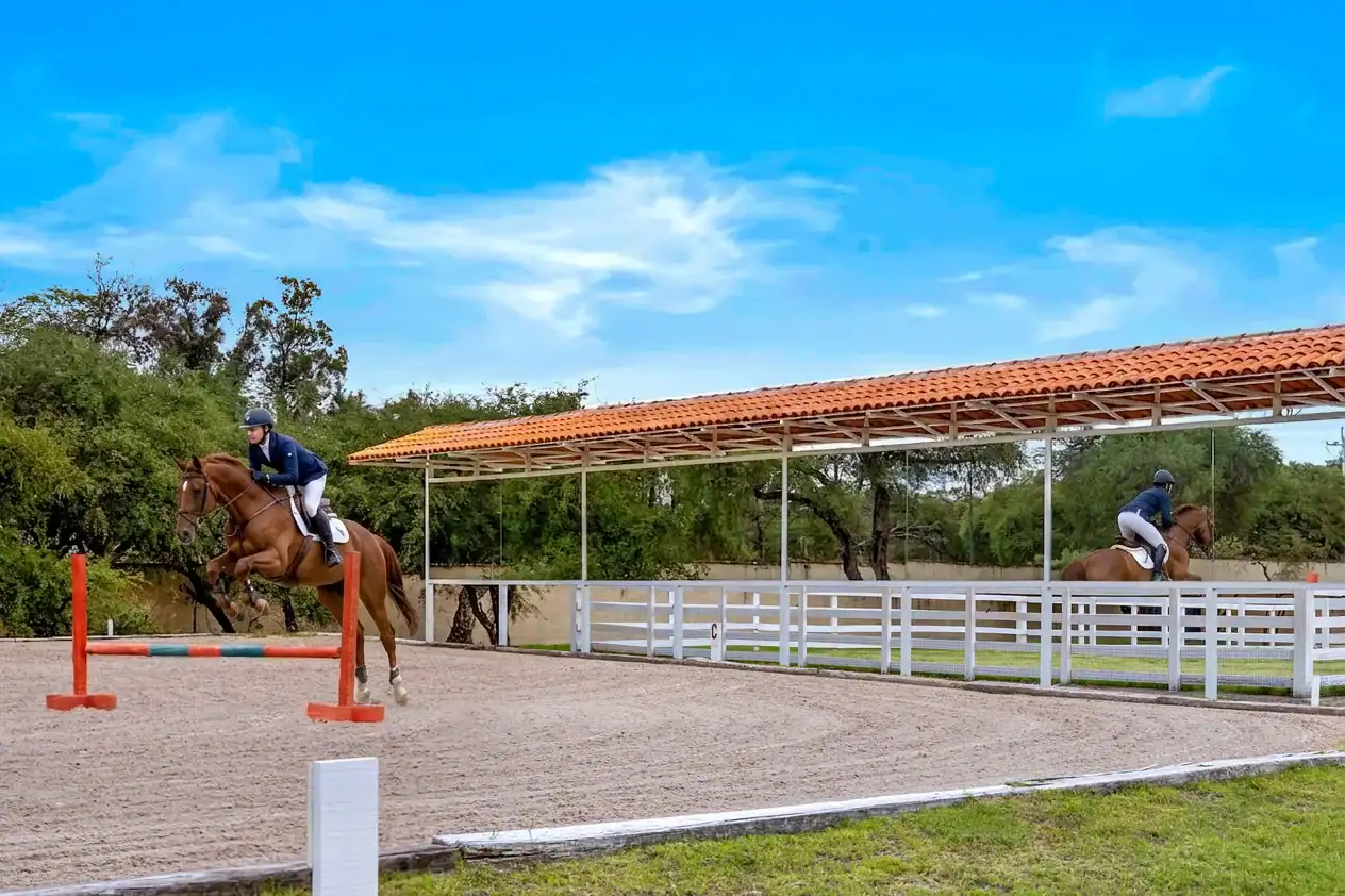 Rider in a navy jacket and helmet jumps a brown horse over a red-and-blue obstacle in an outdoor equestrian arena, San Miguel de Allende