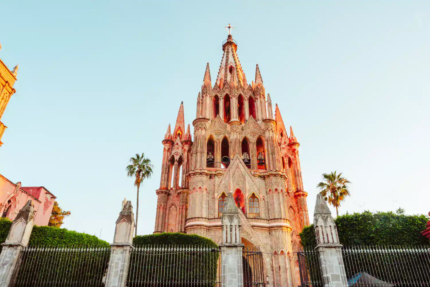 Gothic cathedral with multiple spires and a cross atop, pink stone, behind a gated hedge fence with palm trees nearby.
