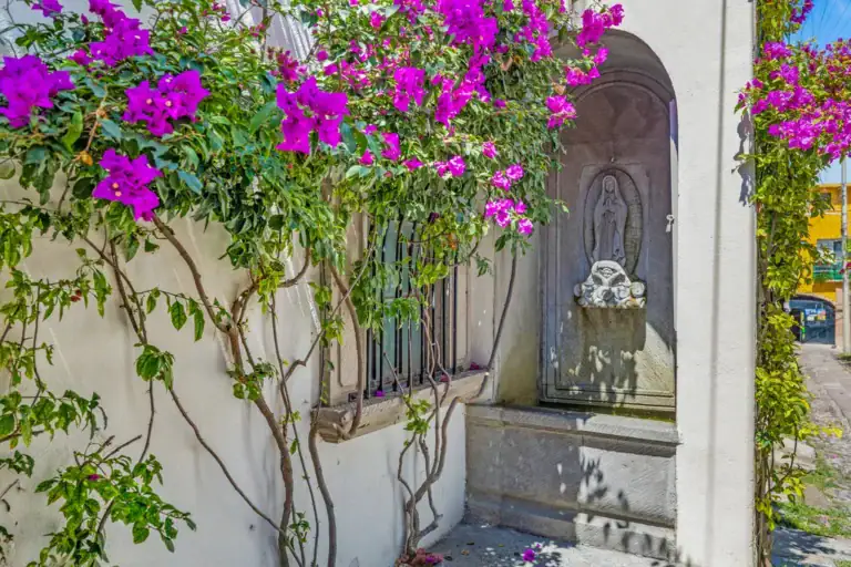 Casa Clae, bougainvillea over a wall fountain niche, San Miguel de Allende