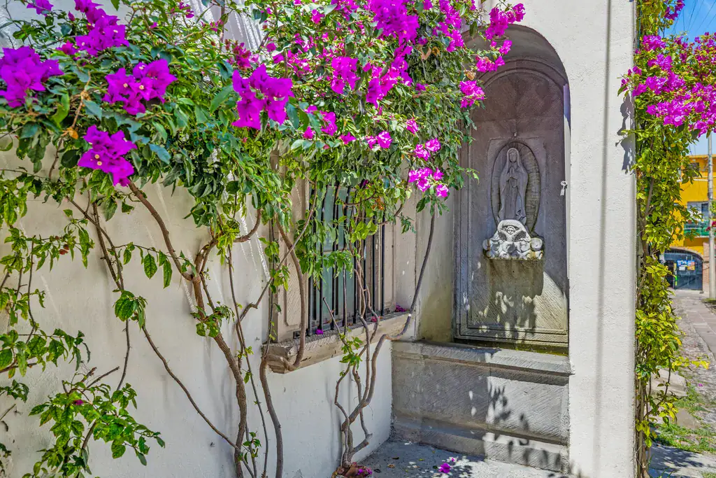 Casa Clae, bougainvillea over a wall fountain niche, San Miguel de Allende