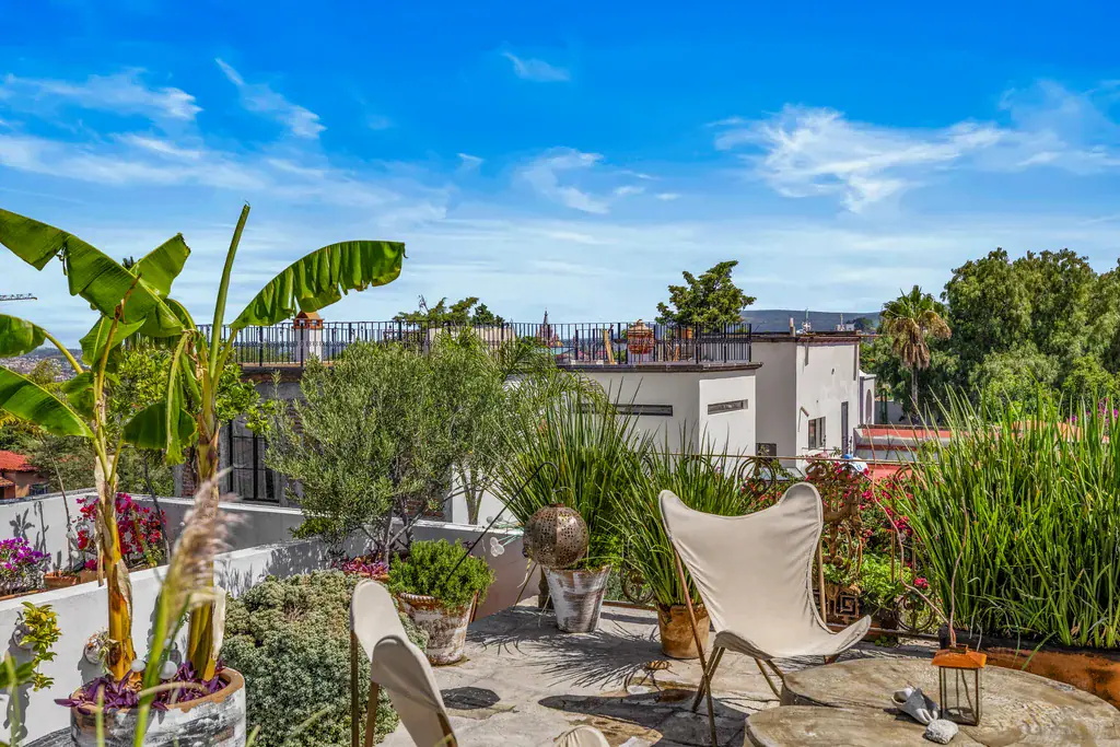 Casa Clae, roof terrace with butterfly chairs and tropical plants, San Miguel de Allende