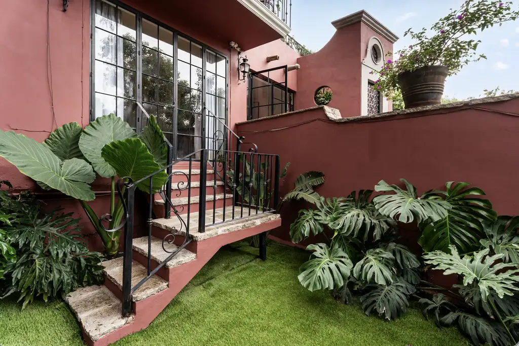Casa del Arroyo, garden stairway with large-leaf plants and a lawn, San Miguel de Allende