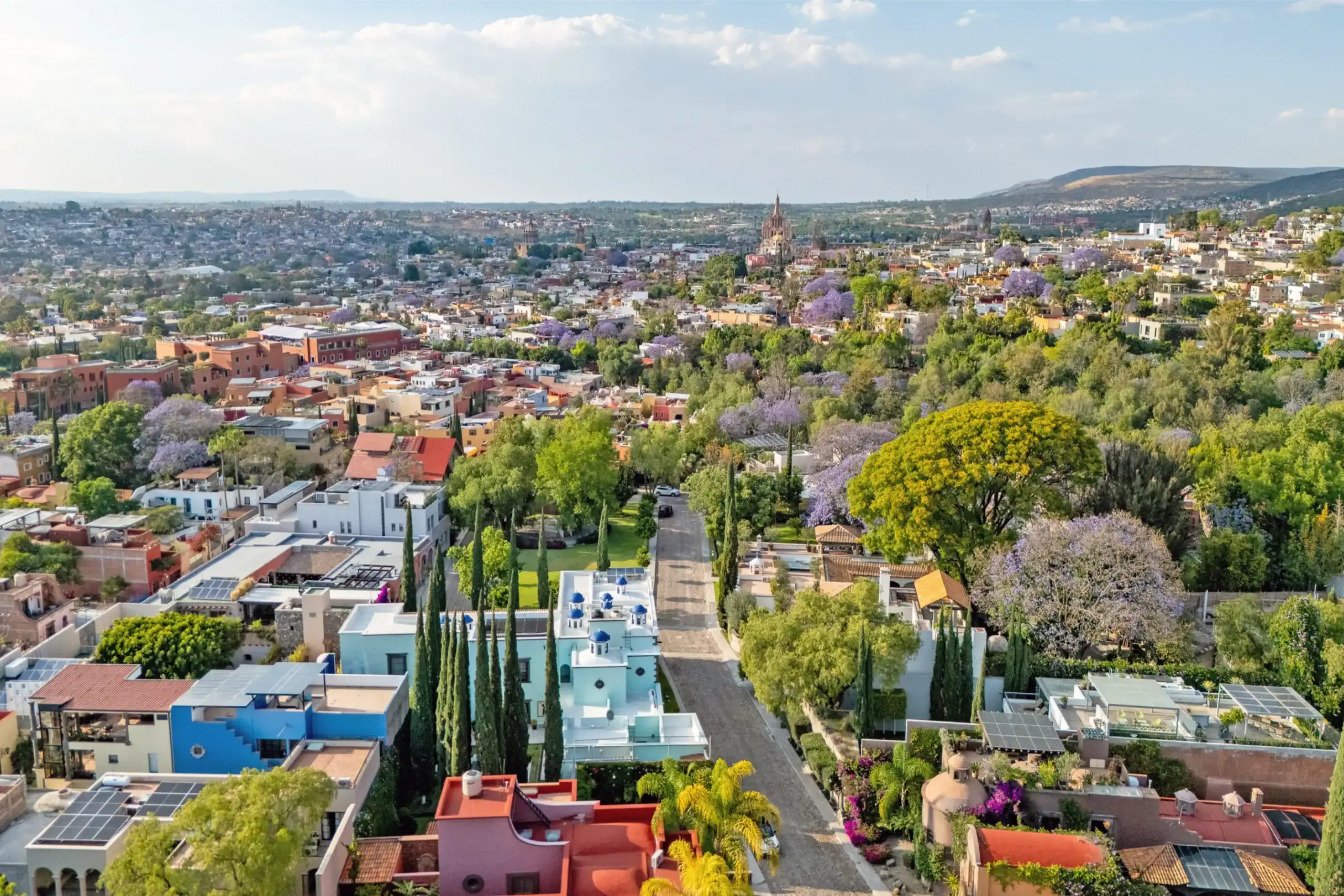 Aerial view of a sunny cityscape with colorful houses, trees, and purple jacaranda blossoms extending to distant hills, San Miguel de Allende