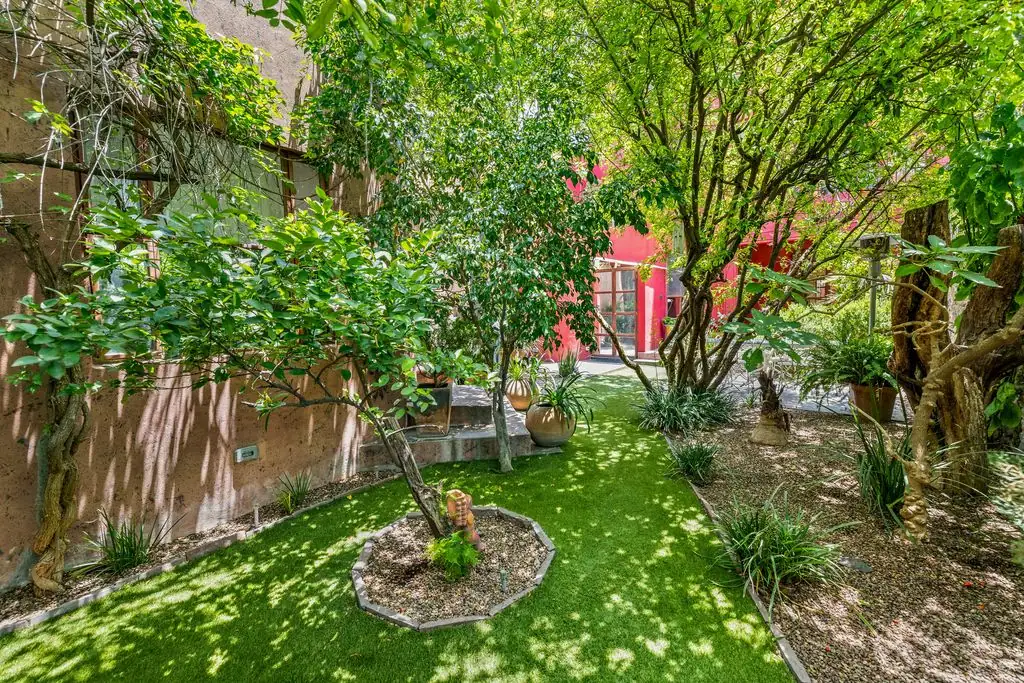Sunlit courtyard with green lawn, mature trees, and potted plants in front of a pink building with glass doors, San Miguel de Allende