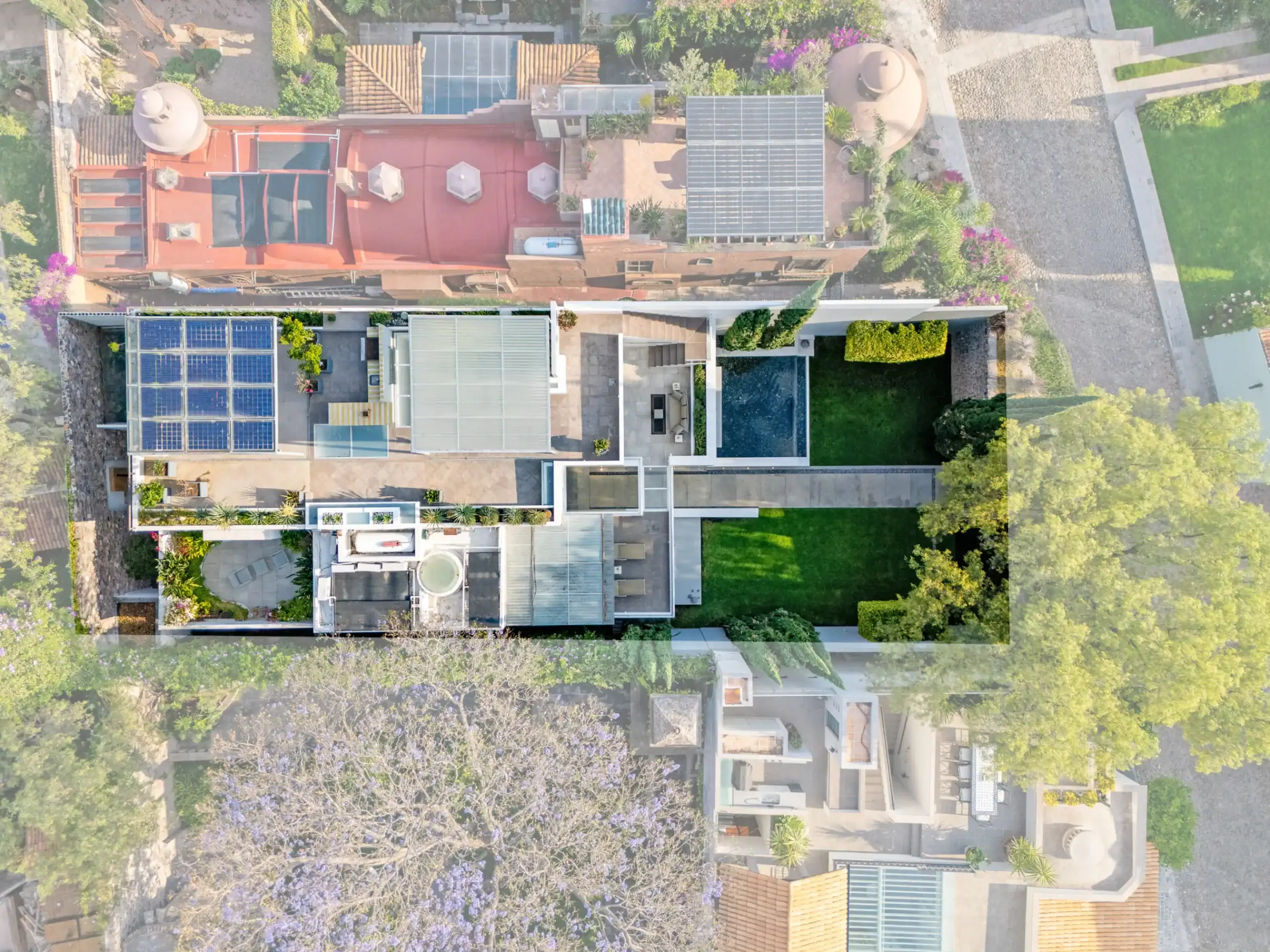 Aerial view of a residential neighborhood with solar panels on rooftops and jacaranda trees in bloom along the streets, San Miguel de Allende