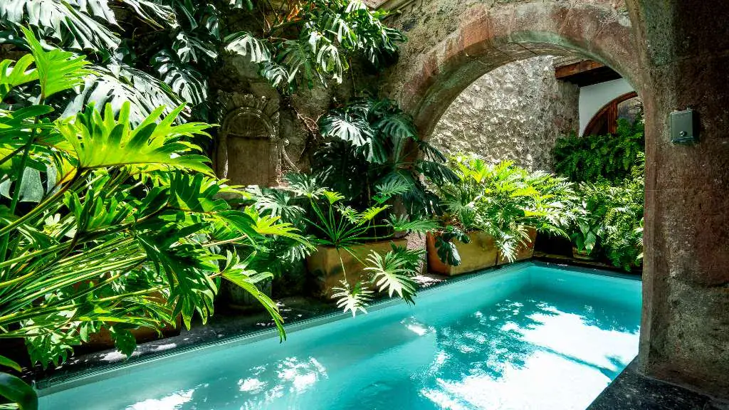 Casa Adelita, plunge pool beneath a stone arch and tropical foliage, San Miguel de Allende