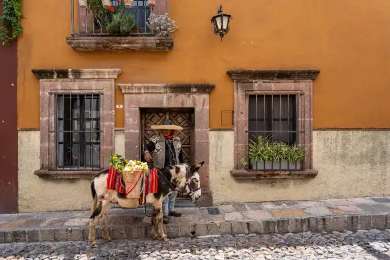 Casa Aldama, ochre street facade with stone-framed barred windows and a man leading a donkey along the cobblestones, San Miguel de Allende