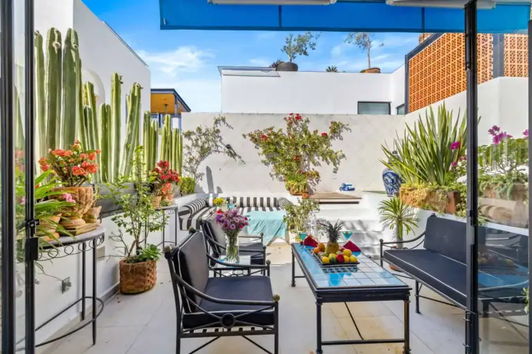 Casa Amoray, patio with a cactus wall, black chairs and a turquoise table, San Miguel de Allende