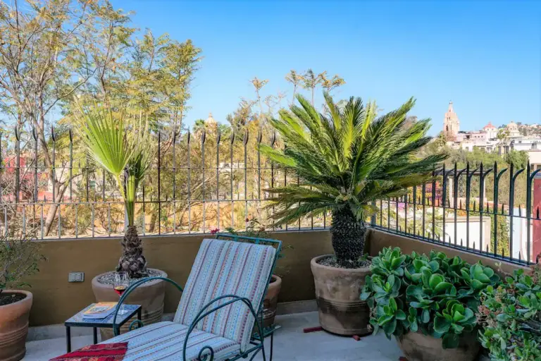 Casa Caminando, terrace with a chaise lounge, a palm and a view of the Parroquia, San Miguel de Allende