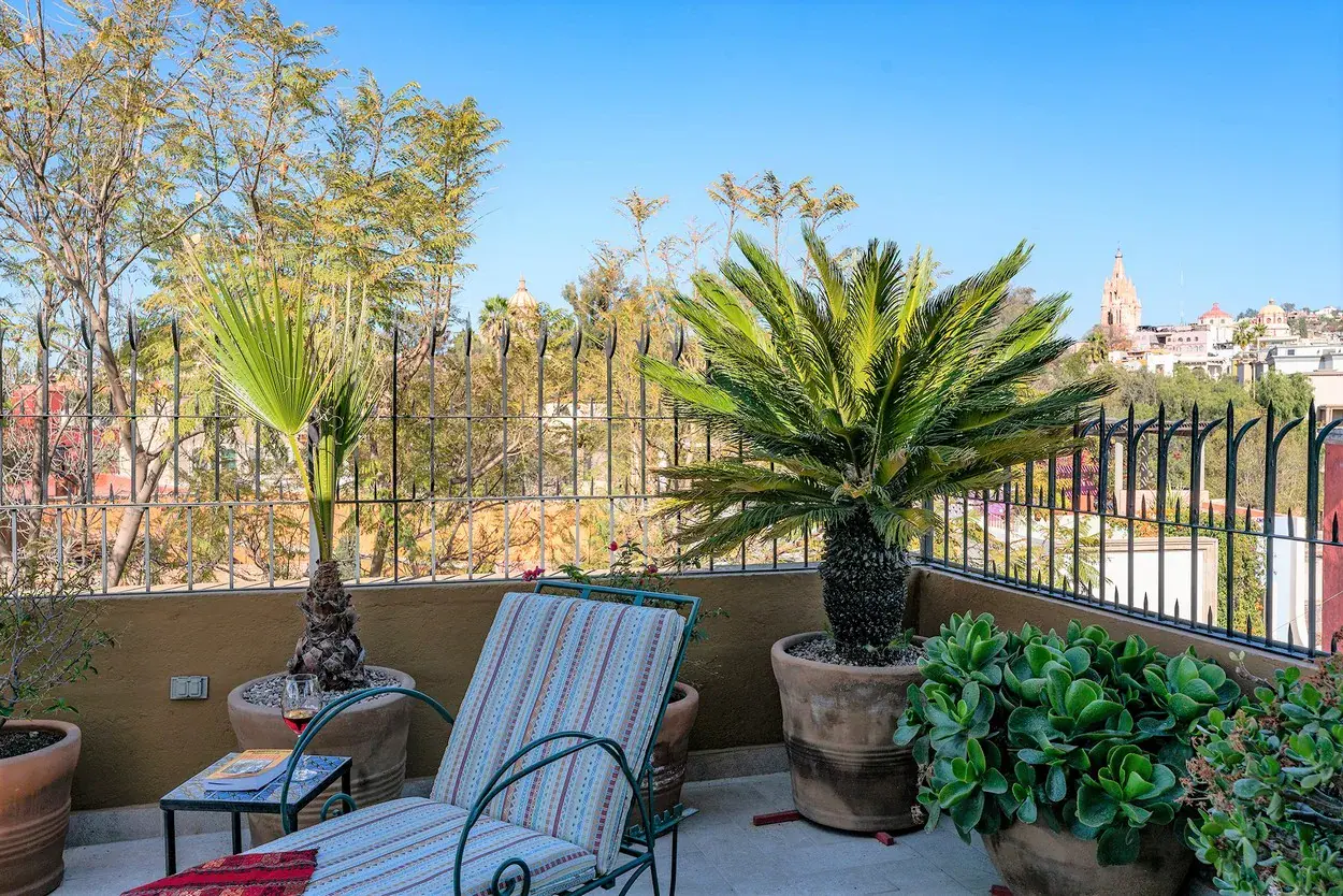 Casa Caminando, terrace with a chaise lounge, a palm and a view of the Parroquia, San Miguel de Allende