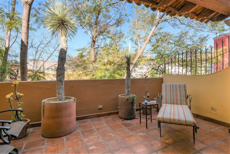 Casa Caminando, upper terrace with a lounge chair and yucca trees, San Miguel de Allende