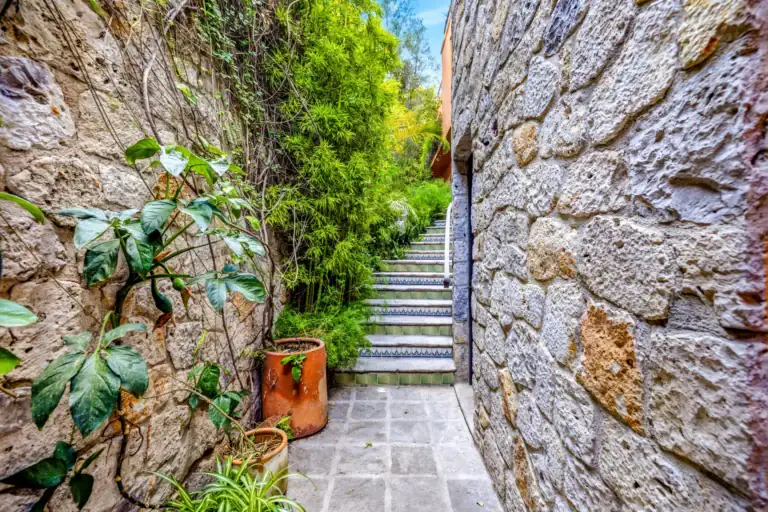 Casa Cascada, stone-walled stairway with tiled steps rising through a leafy garden, San Miguel de Allende