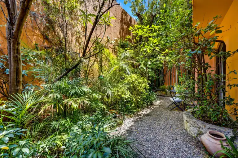 Casa Cascada, gravel path through a shady garden with ferns and bamboo, San Miguel de Allende