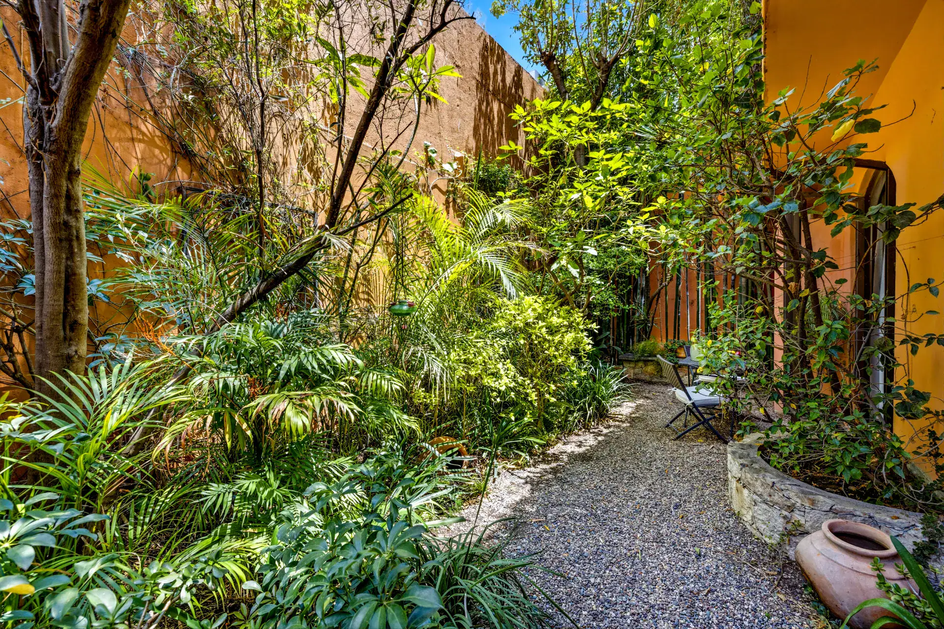 Casa Cascada, gravel path through a shady garden with ferns and bamboo, San Miguel de Allende
