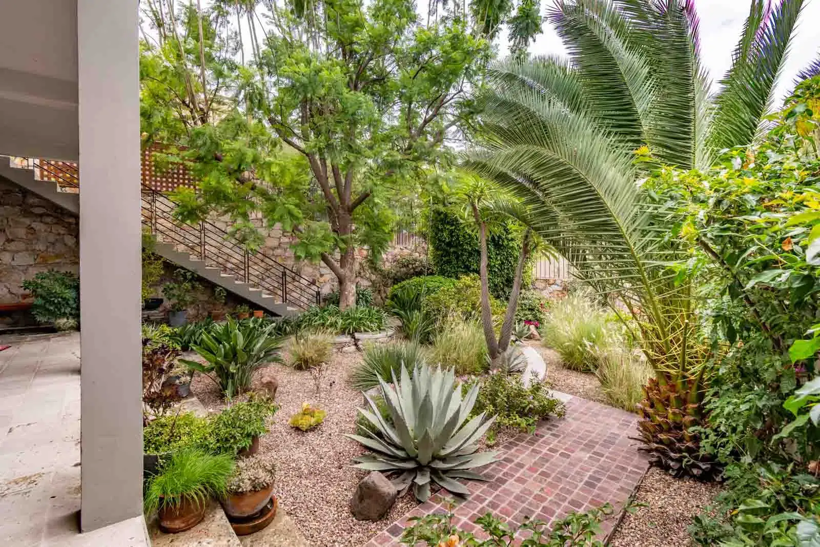 Casa Cielo Abierto, garden with palm trees, agaves, a brick path and a staircase on a hillside, San Miguel de Allende