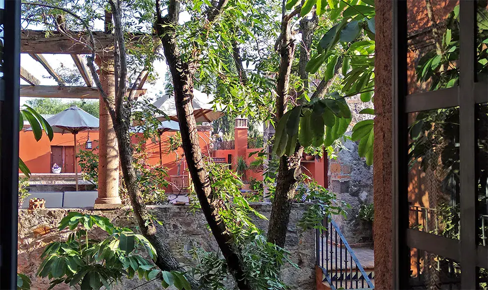 Casa Colonial, courtyard garden seen through open steel-framed doors, San Miguel de Allende