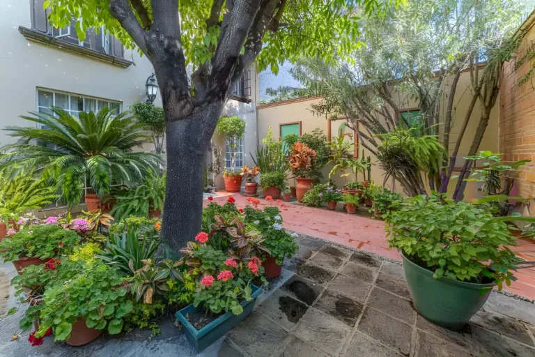 Casa de la Gracia, garden courtyard with a large shade tree, a brick path and potted flowers, San Miguel de Allende