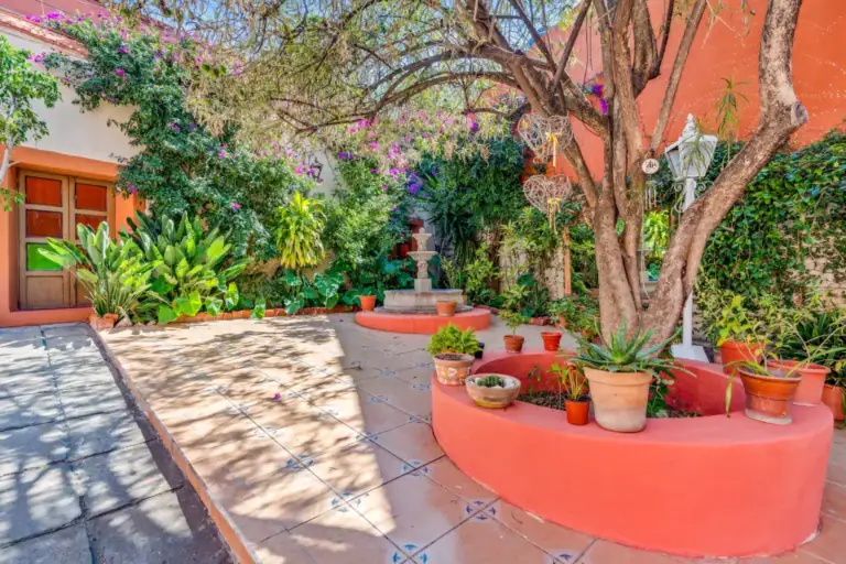Casa de los Espejos, courtyard with a fountain, a flowering tree and a pink planter, San Miguel de Allende