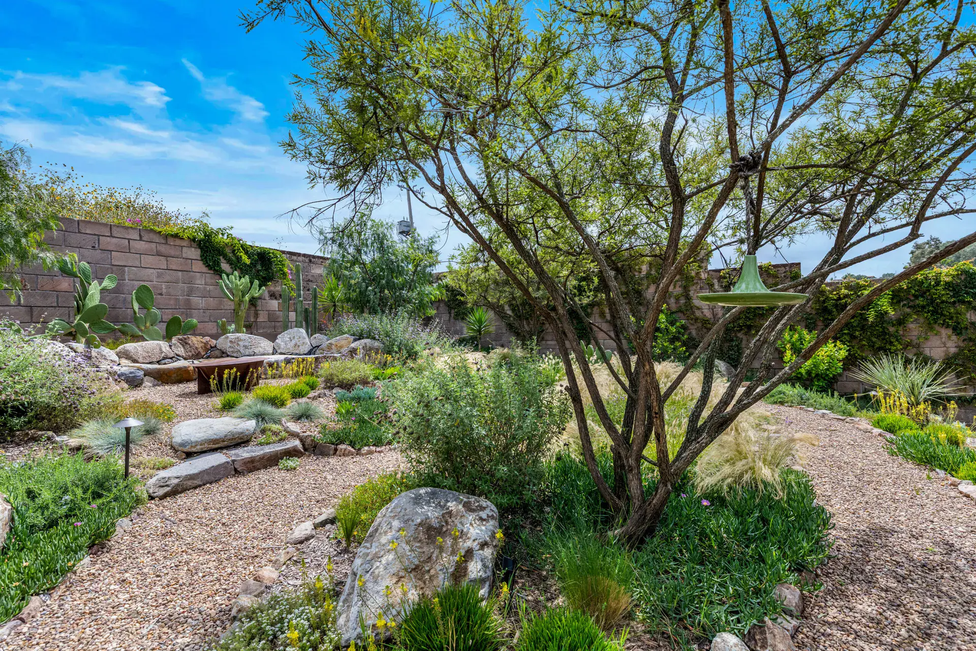 Casa Dos Gatos, desert garden with a gravel path, boulders and a mesquite tree, San Miguel de Allende
