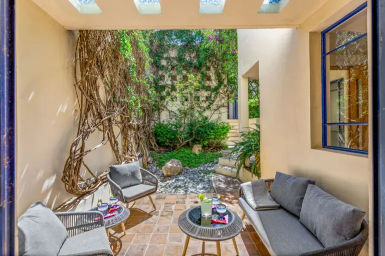 Casa Fallingwater, interior garden room with a leaning vine tree and gray sofas, San Miguel de Allende