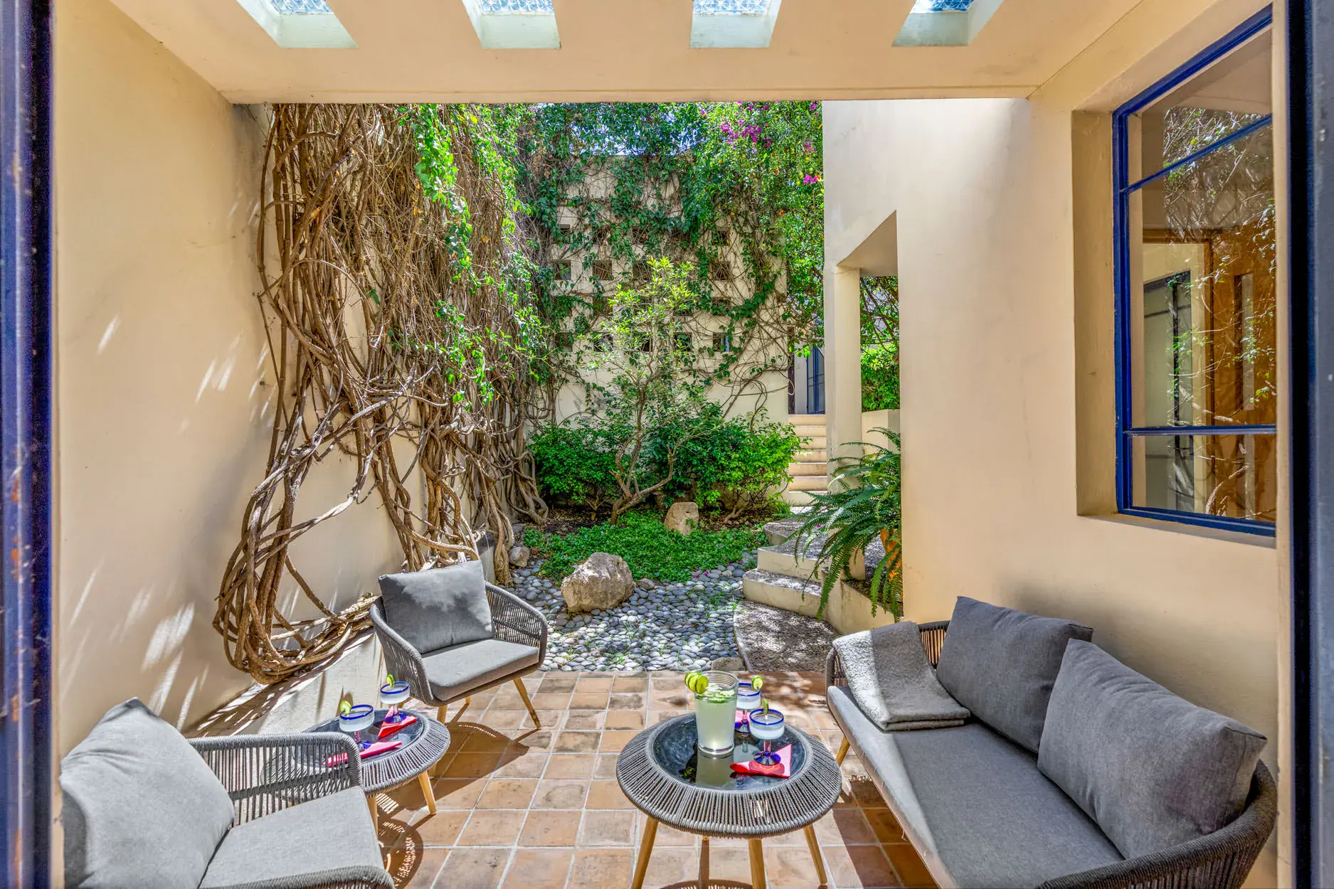Casa Fallingwater, interior garden room with a leaning vine tree and gray sofas, San Miguel de Allende