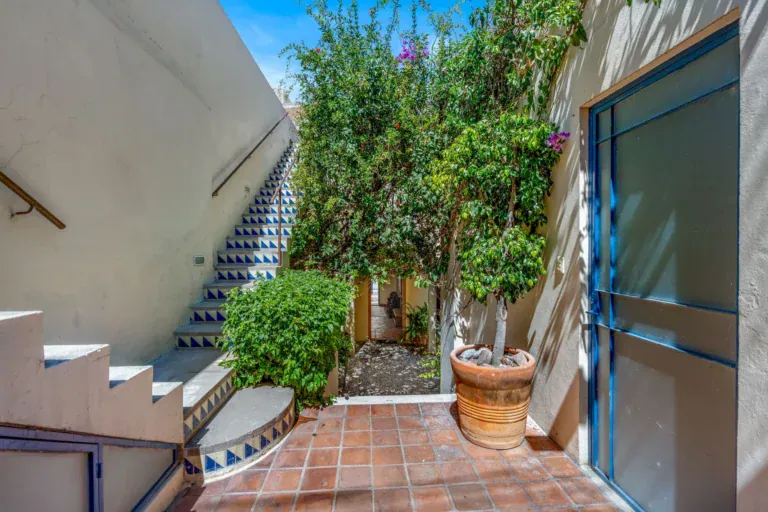 Casa Fallingwater, stair to the upper terrace with blue tile risers and flowering trees, San Miguel de Allende