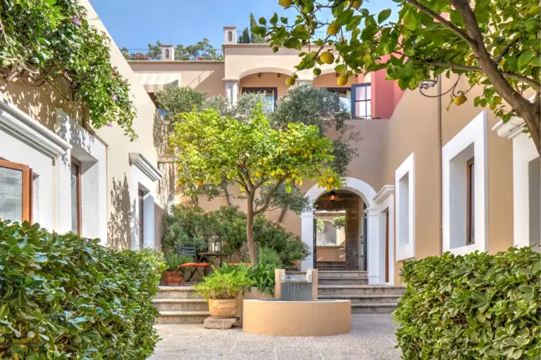 Casa Familia, courtyard garden with citrus trees and stone steps beside a building with arched windows, San Miguel de Allende