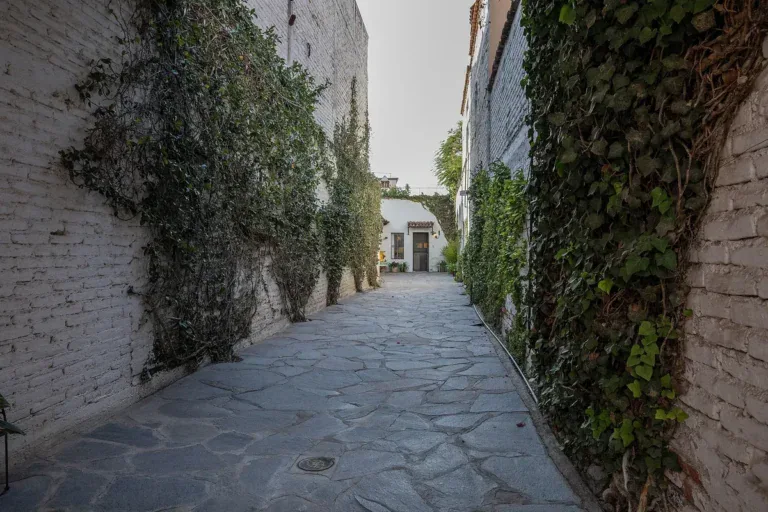 Casa Gracia, narrow stone lane lined with ivy-covered walls, San Miguel de Allende