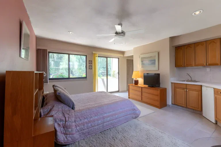 Casa Guadiana, guest bedroom with a purple quilt, kitchenette cabinets and a sliding glass door, San Miguel de Allende