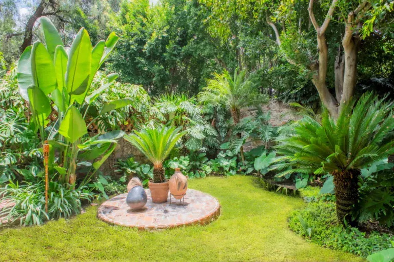 Casa Kate, tropical garden with a lawn and banana plants, San Miguel de Allende