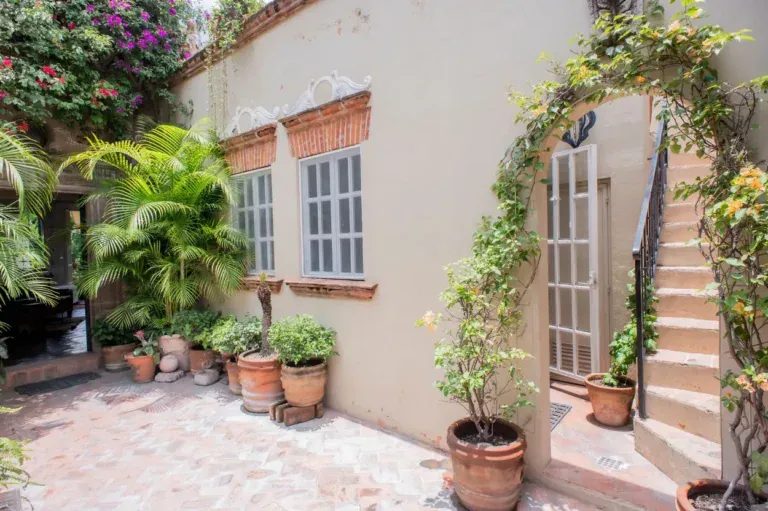 Casa Kate, courtyard with an arched doorway covered in vines, San Miguel de Allende