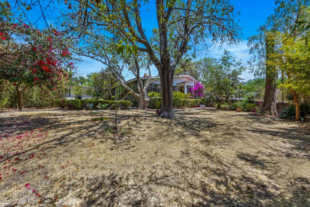 Casa La Chiquita, garden with large trees, dry ground and flowering bougainvillea, San Miguel de Allende