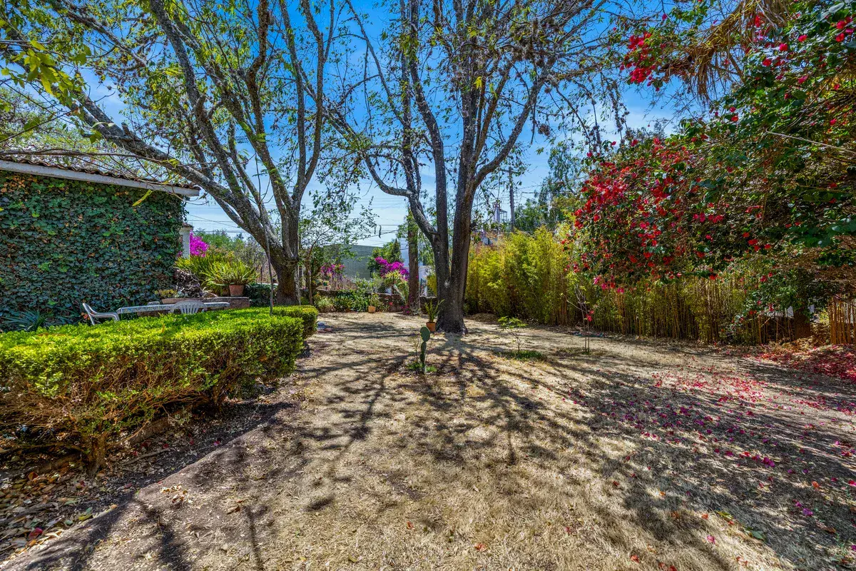 Casa La Chiquita, garden with a trimmed hedge, trees and red bougainvillea, San Miguel de Allende