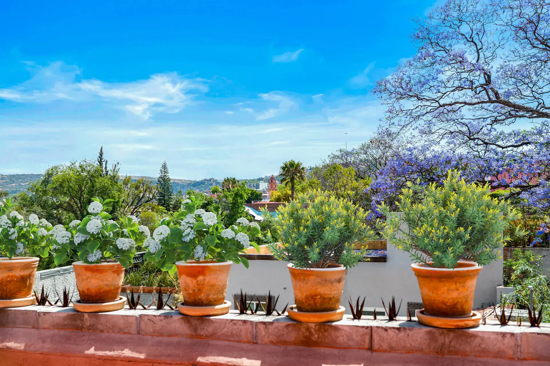 Casa Las Monjas, panoramic view over potted plants and a purple jacaranda tree to the neighborhood from the terrace, San Miguel de Allende